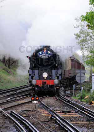 Purchase photo of 34046 BRAUNTON at Virginia Water